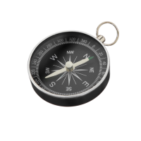 Компас (вариант 1) - «globural.ru» - Саранск