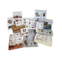 Комплект коллекций демонстрационный - «globural.ru» - Саранск