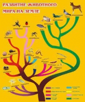 Стенд "Развитие животного мира на земле" - «globural.ru» - Саранск