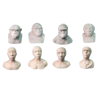 Набор палеонтологических муляжей - «globural.ru» - Саранск