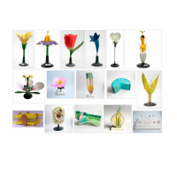 Комплект ботанических моделей демонстрационный - «globural.ru» - Саранск