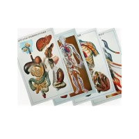 Таблицы рельефные - «globural.ru» - Саранск