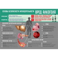 Стенд "Алкоголь" - «globural.ru» - Саранск