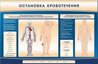 Электрифицированный стенд-тренажер "Остановка кровотечения" - «globural.ru» - Саранск