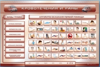 Трехсекционный базовый комплект "Травмы. Кровотечения. Ожоги" для учащихся общеобразовательных учреждений - «globural.ru» - Саранск