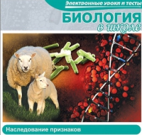 CD "Биология в школе. Наследование признаков" (электронные уроки и тесты) - «globural.ru» - Саранск