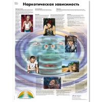Плакат "Наркотическая зависимость", ламинированный, 50*67 см - «globural.ru» - Саранск