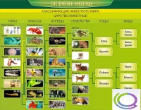 Стенд "Систематика животных" - «globural.ru» - Саранск