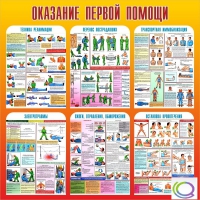 Стенд "Оказание первой помощи" - «globural.ru» - Саранск