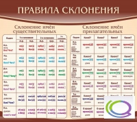 Стенд "Правила склонения" - «globural.ru» - Саранск