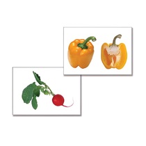 Дидактическое пособие "Овощи" (24 карточки, А4, ламинированное) - «globural.ru» - Саранск