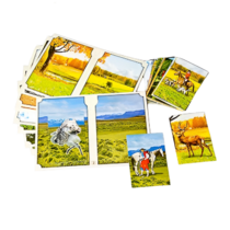 Настольно-печатная игра "Вокруг света" - «globural.ru» - Саранск