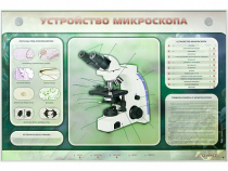 Электрифицированный стенд "Устройство микроскопа и правила работы c ним" - «globural.ru» - Саранск