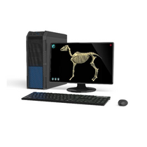 Макет масштабный «Скелет Лошади» Масштаб 1:2 - «globural.ru» - Саранск