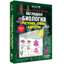 Наглядная биология. Растения. Грибы. Бактерии - «globural.ru» - Саранск