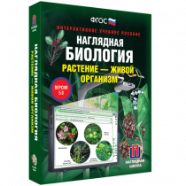 Наглядная биология. Растение - живой организм - «globural.ru» - Саранск