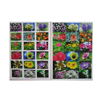 Английское лото "Цветы - травы" - «globural.ru» - Саранск