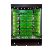 Вертикальная ферма "Моя Микрозелень" комплектация "Театро настольная" - «globural.ru» - Саранск