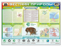 Стенд-уголок "Вестник природы" (вариант 1) - «globural.ru» - Саранск