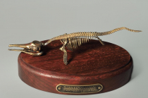 Модель скелета ихтиозавра Ichthyosaurus - «globural.ru» - Саранск
