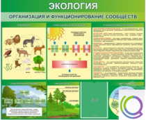 Стенд "Экология. Организация и функционирование сообществ" - «globural.ru» - Саранск