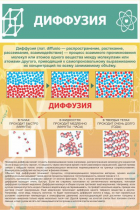 Стенд "Диффузия" - «globural.ru» - Саранск