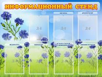 Стенд информационный с 7 карманами - «globural.ru» - Саранск