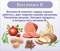 Стенд "Витамин В" - «globural.ru» - Саранск