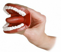 Муляж артикуляционного аппарата - «globural.ru» - Саранск