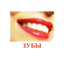 Карточки Домана "Части тела" - «globural.ru» - Саранск