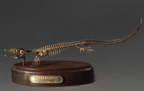 Модель скелета мозазавра Mosasaurus - «globural.ru» - Саранск
