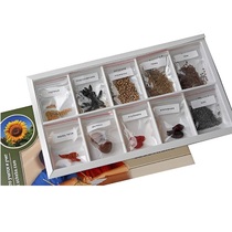 Коллекция "Плоды сельскохозяйственных растений" (вариант 2) - «globural.ru» - Саранск