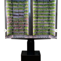 Вертикальная  ферма «Моя микрозелень» комплектация  «Театро настенная» - «globural.ru» - Саранск