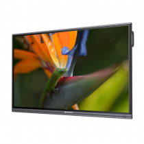 Интерактивный программно-аппаратный комплекс Geckotouch Interactive Pro IP75HT-E в комплекте с настенным креплением - «globural.ru» - Саранск