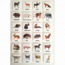 Набор карточек "ЖИВОТНЫЕ" - «globural.ru» - Саранск