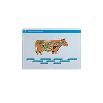 Стенд-планшет светодинамический "Изучение нервной системы сельскохозяйственных животных" со сменными панелями - «globural.ru» - Саранск