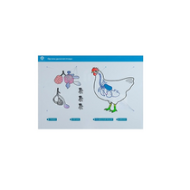 Стенд-планшет светодинамический "Изучение органов дыхания сельскохозяйственных животных" со сменными панелями - «globural.ru» - Саранск