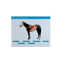 Стенд-планшет светодинамический "Изучение пищеварительной системы сельскохозяйственных животных" со сменными панелями - «globural.ru» - Саранск