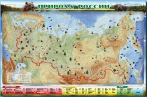 Электронно-информационный (маркерный) стенд "Природа России" - «globural.ru» - Саранск