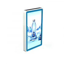 Видеопанель PROMO WALL 55 - «globural.ru» - Саранск