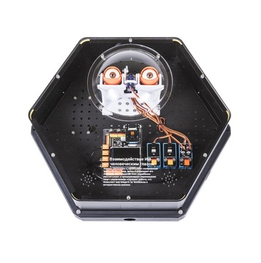 Модуль интерактивный с искусственным интеллектом "Наблюдатель" - «globural.ru» - Саранск