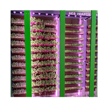 Вертикальная ферма "Моя Микрозелень" комплектация Школьная - «globural.ru» - Саранск