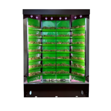 Вертикальная ферма "Моя Микрозелень" комплектация "Театро настольная" - «globural.ru» - Саранск