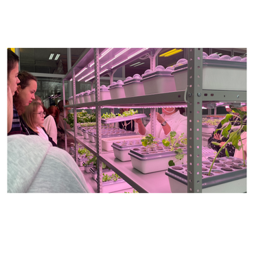 АГРОпространство для ВУЗ/СПО - «globural.ru» - Саранск