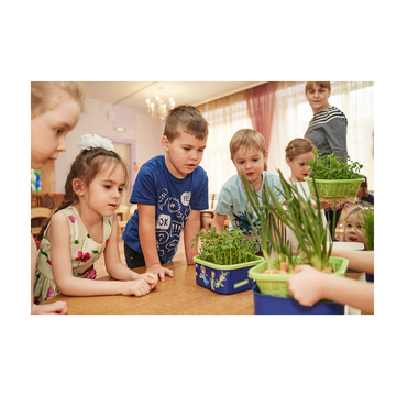 Обучающий комплект экологической направленности "Сити-фермер 2.0 Детский сад" 30 человек - «globural.ru» - Саранск