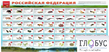 Стенд "Красная книга РФ" - «globural.ru» - Саранск