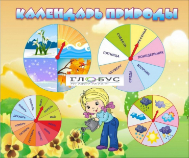 Стенд "Календарь природы" (вариант 1) - «globural.ru» - Саранск