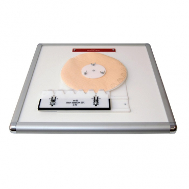 Комплекс "Изучение зубьев" - «globural.ru» - Саранск