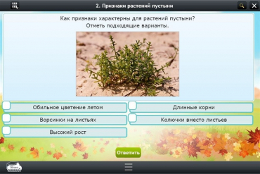 Интерактивные курсы. Окружающий мир 3 класс. Базовый - «globural.ru» - Саранск