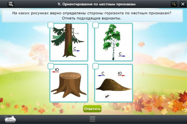 Интерактивные курсы. Окружающий мир 1 класс. Базовый - «globural.ru» - Саранск